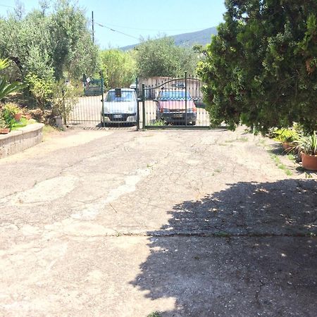 Casa Vacanze La Tuia Castellabate Luaran gambar