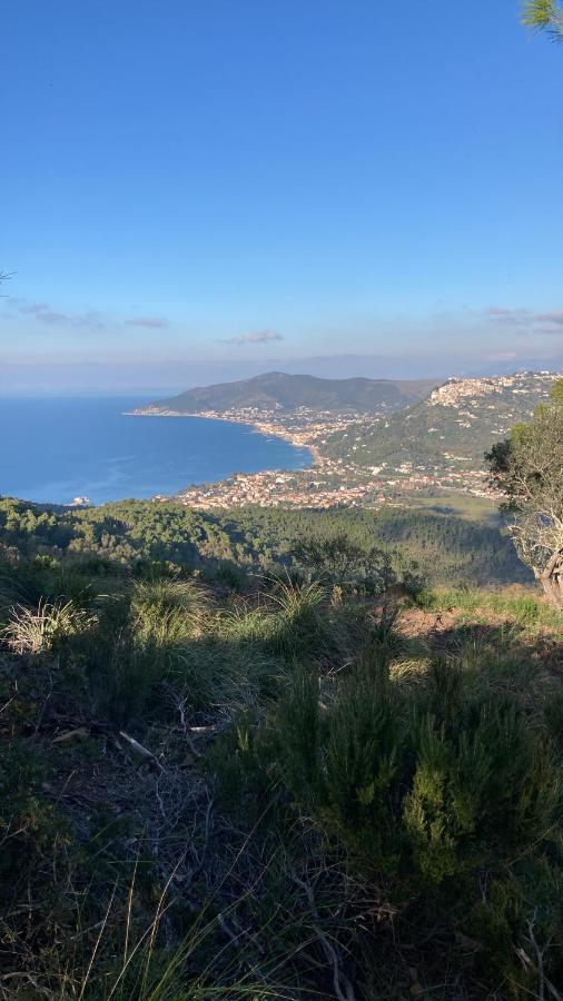 Casa Vacanze La Tuia Castellabate Luaran gambar